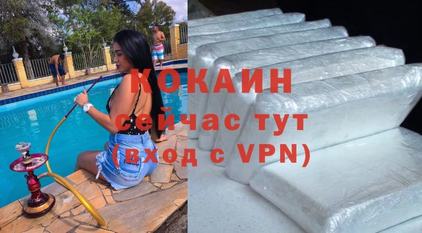 мяу мяу мука Аркадак