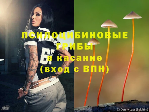 мяу мяу мука Аркадак