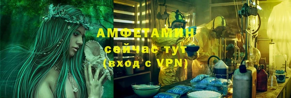 мяу мяу мука Аркадак