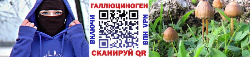 Галлюциногенные грибы MAGIC MUSHROOMS  Бийск 